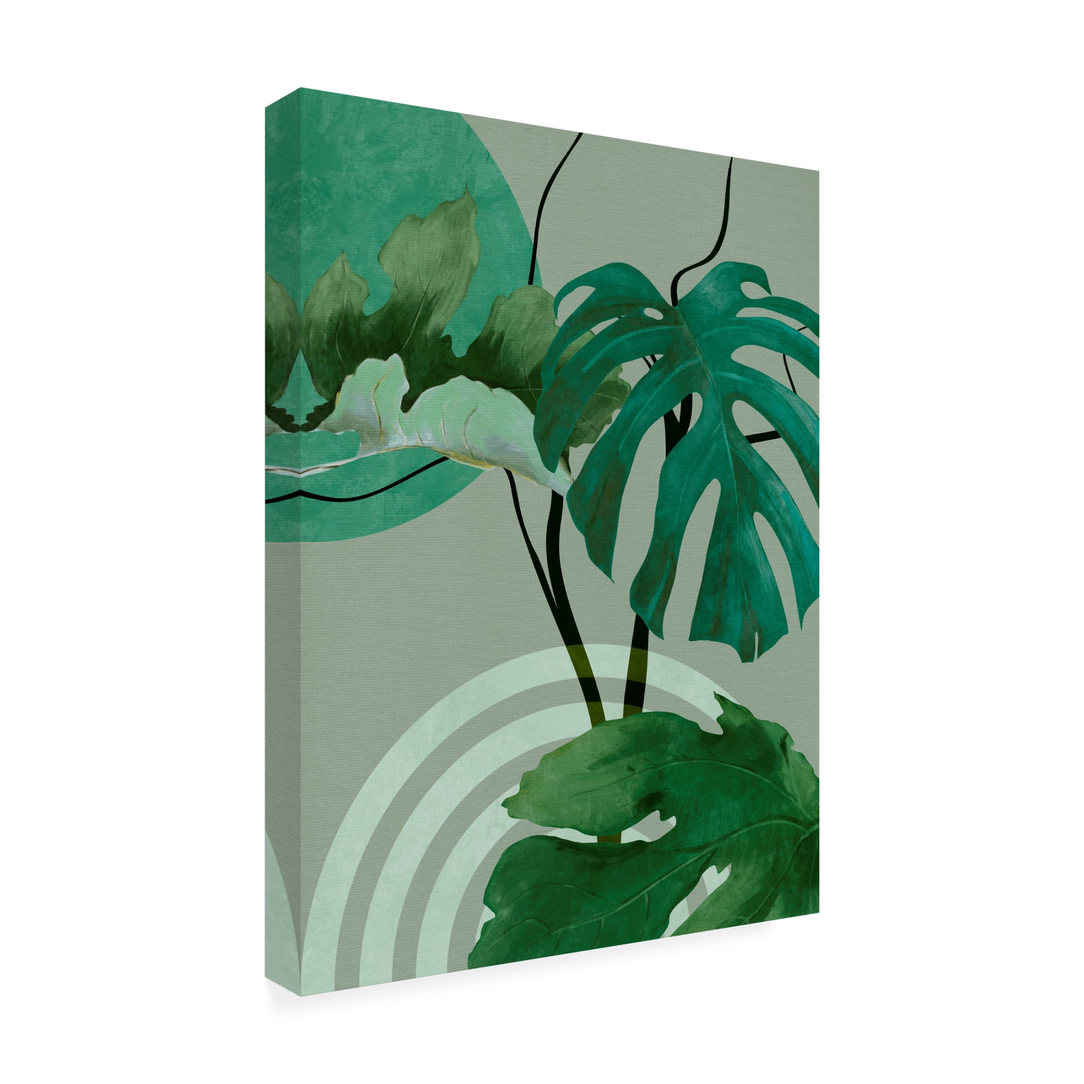 Trademark Fine Art Ana Rut Bre Leaves More 12 Canvas Wall Art