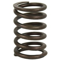 3911693 Valve Spring Fits Ford
