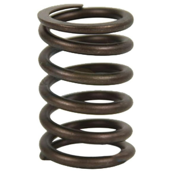 3911693 Valve Spring Fits Ford