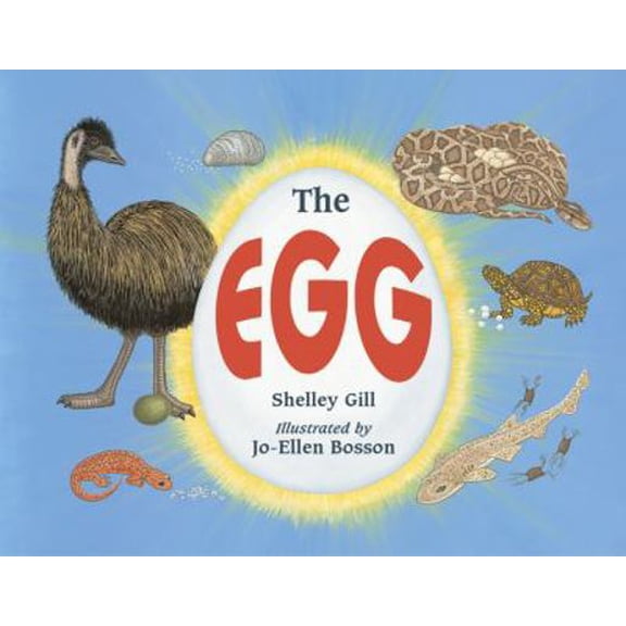 Pre-Owned The Egg (Paperback) 1570913781 9781570913785
