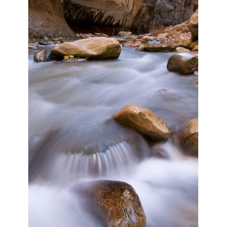 View Along the Hike Through the Zion Narrows in Southern Utah's Zion National Park Print Wall Art By Kyle