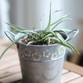 thumbnail image 6 of WHAMVOX Retro Silver Iron Sheet Flower Pot with Handle for Decoration Vintage Style Decor 6.5 Inches Diameter, 6 of 8