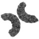 thumbnail image 2 of 1 Pair Decorative Skate Guards Skates Blades Covers Protectors Reusable Skate Guards, 2 of 2