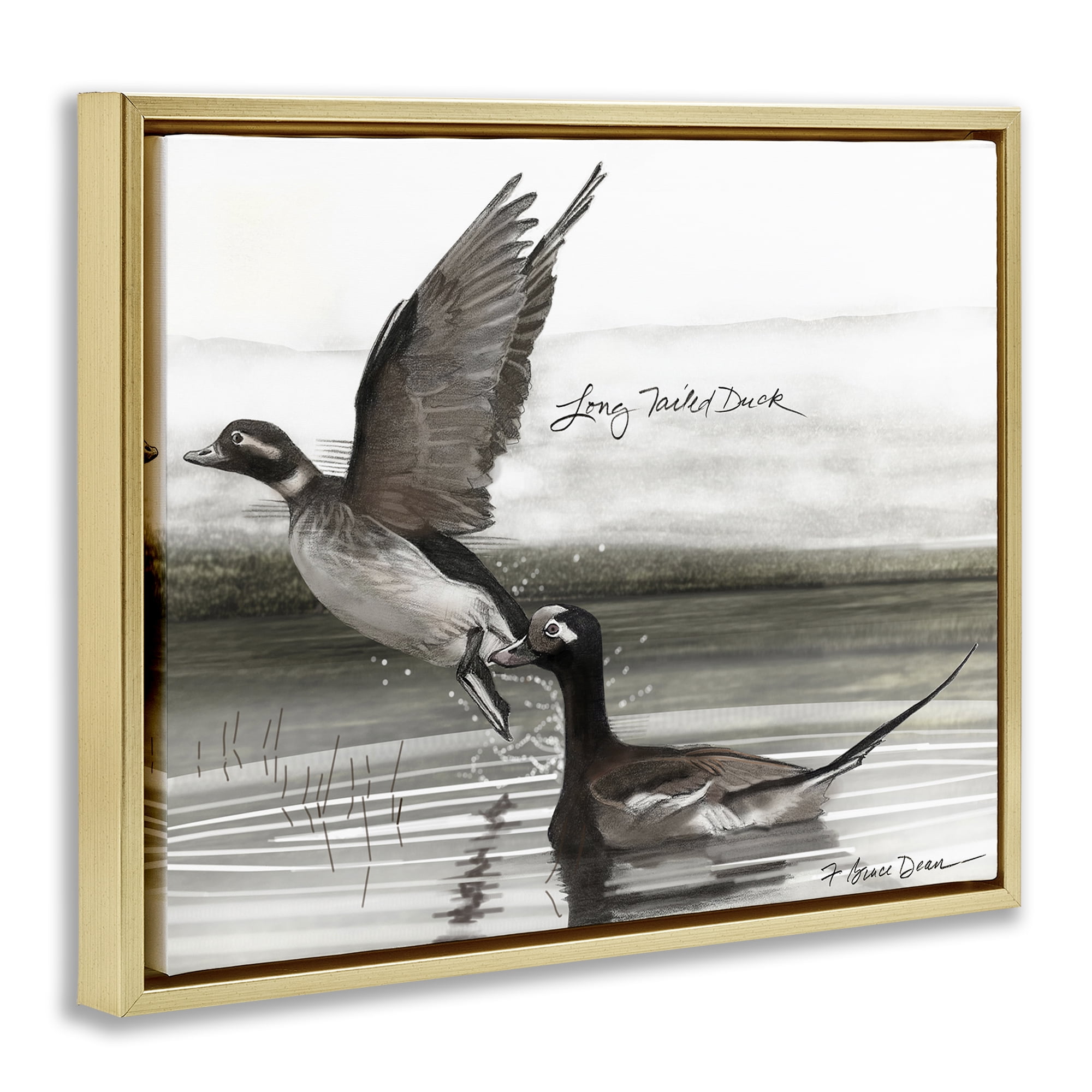 Stupell Industries Long Tailed Duck Animals & Insects Painting Gold Floater Framed Canvas Art Print Wall Art, 21 x 17