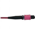 thumbnail image 4 of Tripp Lite 100G Multimode 50/125 OM4 Fiber Optic Cable (12F MTP/MPO-PC F/F) LSZH Magenta 25 m (82 ft.), 1 Piece (Quantity), 4 of 4