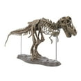 thumbnail image 1 of Tyrannosaurus Rex Squelette Dinosaure T Rex Modèle Animal Jouets Collectionneur Super Décoration, 1 of 6