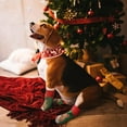 thumbnail image 5 of Christmas Dog Socks, Warm Knitted Indoor Floor Socks with Reindeer Pattern, Non-Slip Pet Socks for Small Medium Dogs, Holiday Gift, 5 of 6