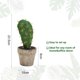 thumbnail image 2 of Planta de cactus artificial en maceta, decoración interior creativa, pequeña flor de simulación, 2 of 5