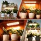 thumbnail image 5 of Paquete de 4 luces LED de espectro completo para cultivo FECiDA 2026, 5 of 8
