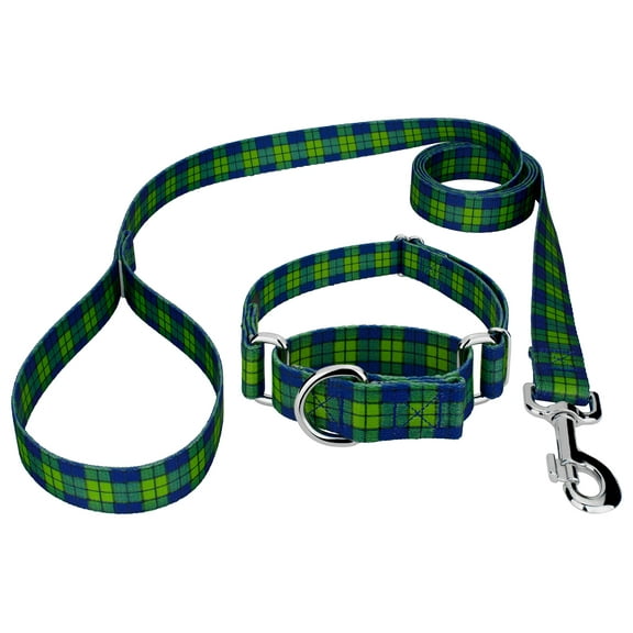 Country Brook Petz® Blue and Green Plaid Martingale Dog Collar and Leash, Large