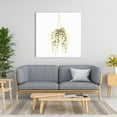 thumbnail image 2 of Hanging plant - 36"x36" canvas - Print on demand, 2 of 5