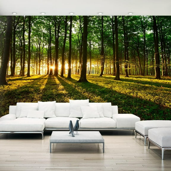Tiptophomedecor Peel and Stick Forest XXL Wallpaper Wall Mural - Mystical Morning - Removable Wall Decals