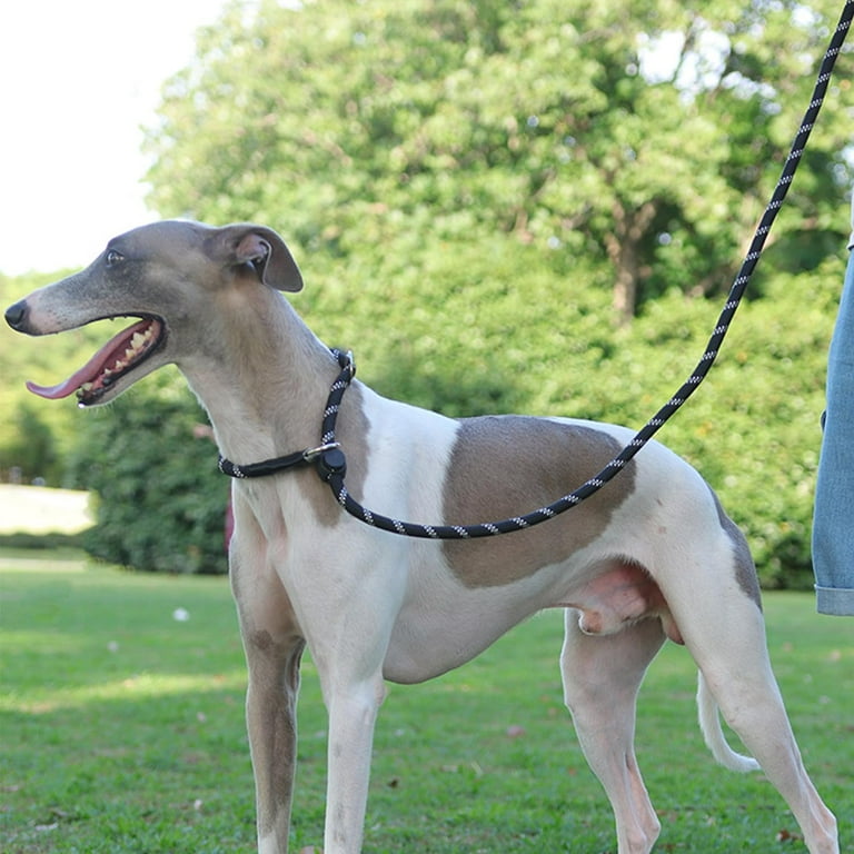 BT Bear Dog Leash, FT Heavy Duty Dog Leash, Strong Training Rope