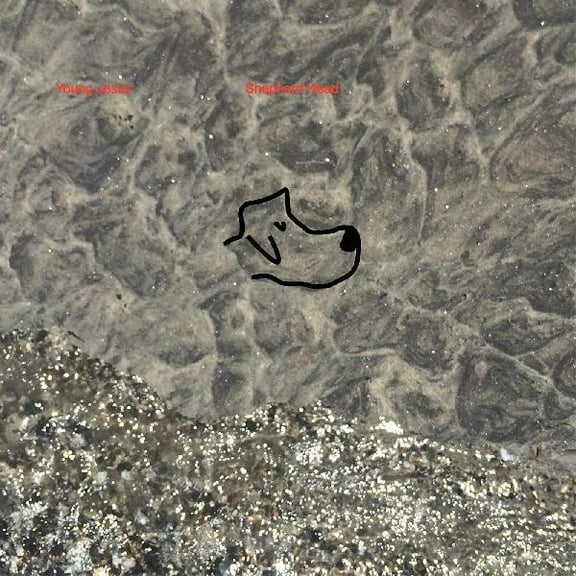 Young Jesus - Shepherd Head - Music & Performance - Vinyl