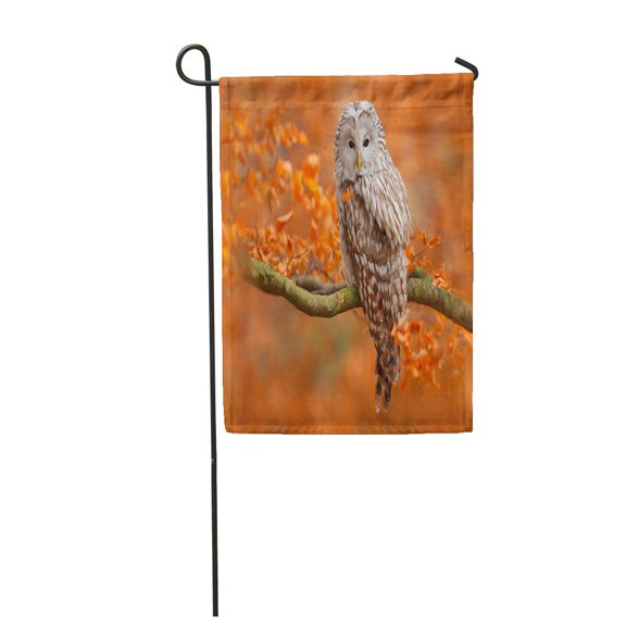 SIDONKU Autumn in Nature Owl Ural Strix Uralensis Sitting Garden Flag Decorative Flag House Banner 12x18 inch