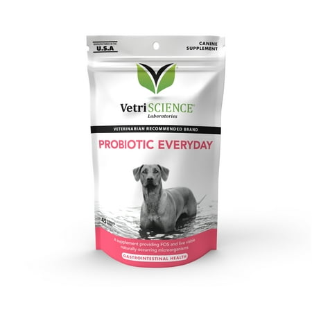 UPC: 0026664016720 | VetriScience Probiotic Everyday Soft Chews Duck Flavored Digestive Supplement for Dogs 45 ct.