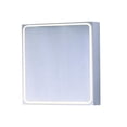 thumbnail image 1 of Maxim E41329-SA Alumilux Conduit Applique Murale Extérieure & 44; Aluminium Satiné, 1 of 1