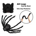 thumbnail image 3 of Halloween Spider Decorations Realistic Hairy Spiders Creepy Decor(75CM), 3 of 4