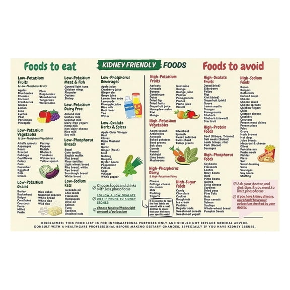 CKD Diet Guide Poster Kidney Friendly Foods Chart Low Potassium Vegetables Fruits Eat Avoid List Educational Wall Art for Beginners Patients