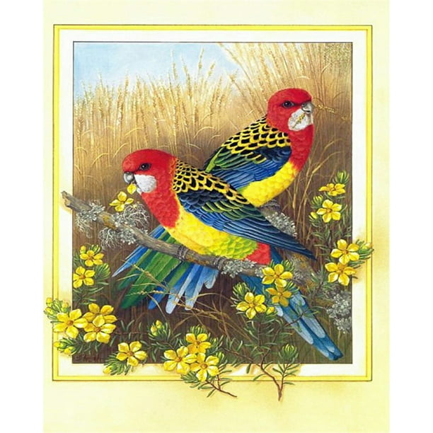 Cuadros Decorativos Flor pájaro pintura al óleo por números Kit DIY pintura acrílica sobre lienzo sin marco Likrtyny embutido en tela