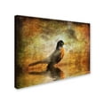 thumbnail image 3 of Trademark Fine Art "The Robin" Canvas Art by Lois Bryan, 3 of 4