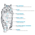 thumbnail image 4 of Croquetas para gato Nupec  Kitten Edad Temprana 1.5Kg, 4 of 5