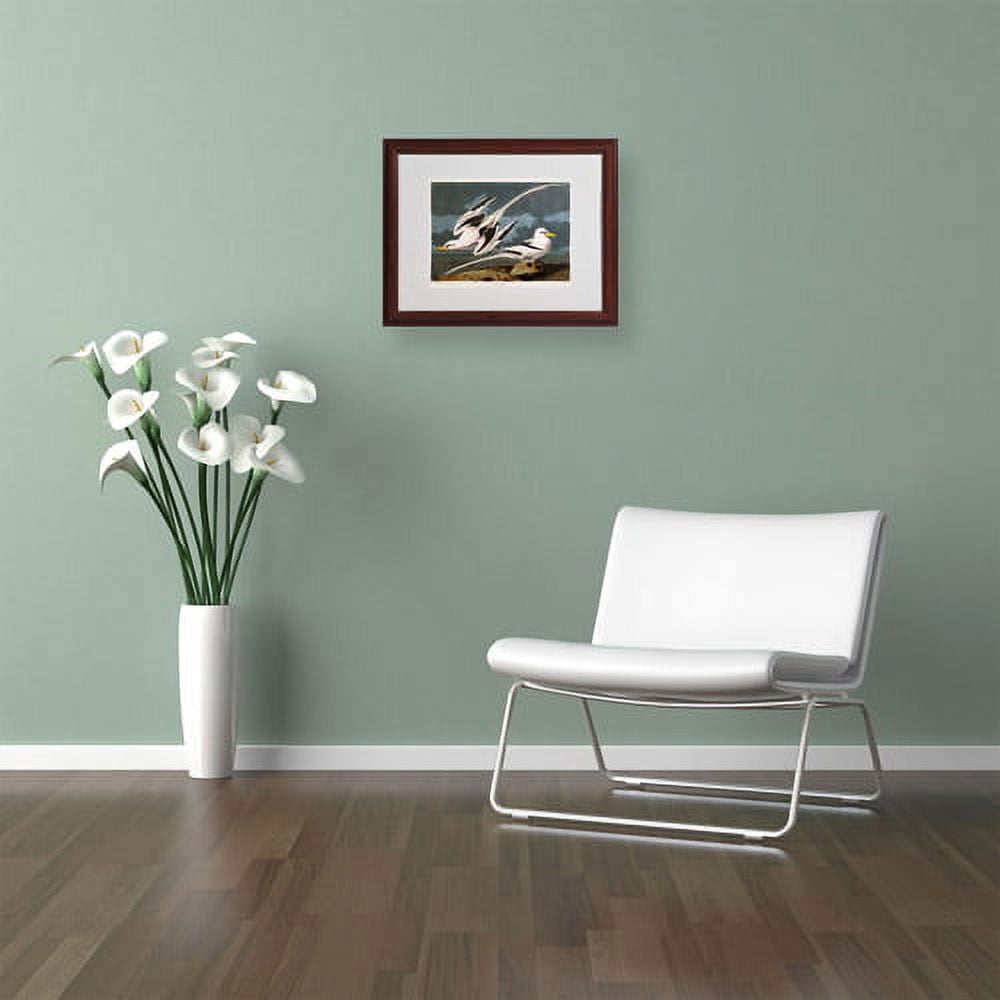 Trademark Fine Art "Tropic Bird" Canvas Art by John James Audubon, Wood Frame