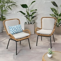 Noble House Pabrico Outdoor Metal and Wicker Club Chair - Brown/Beige (Set of 2)
