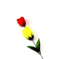 thumbnail image 7 of Discoloration Roses (Red Change Yellow) Rose Magic Tricks Change Valentine 'S Day Color Roses Flower Magic Trick Fun Toys, 7 of 7