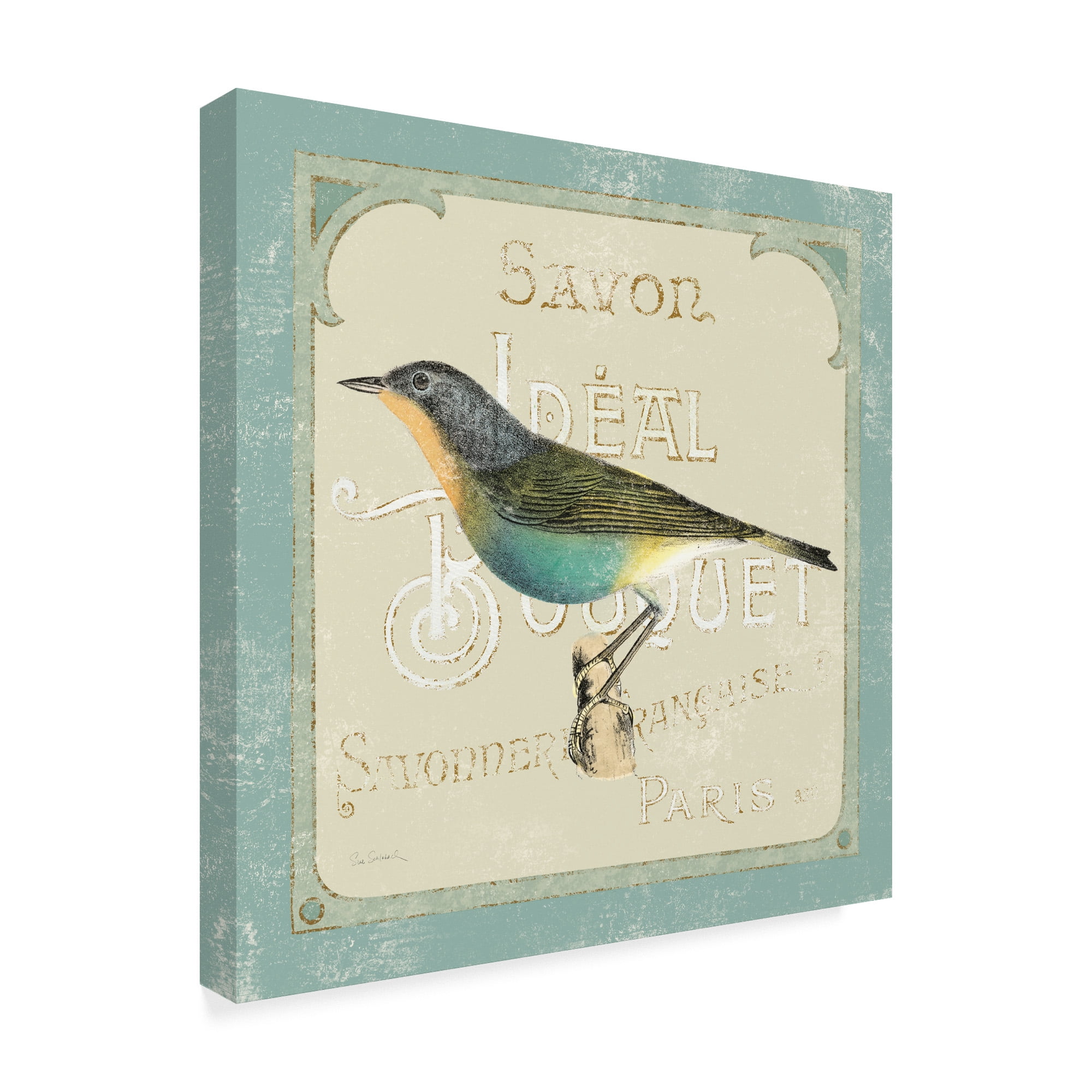 Trademark Fine Art 'Parisian Bird II' Canvas Art by Sue Schlabach