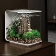 thumbnail image 3 of biOrb Flow 15 Aquarium with Standard Light - 4 Gallon, White, Acrylic, 3 of 9