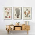 thumbnail image 6 of Knorr Shells & Coral I - Framed Premium Gallery Wrapped Canvas L Frame 3 Piece Set - Ready to Hang, 6 of 9