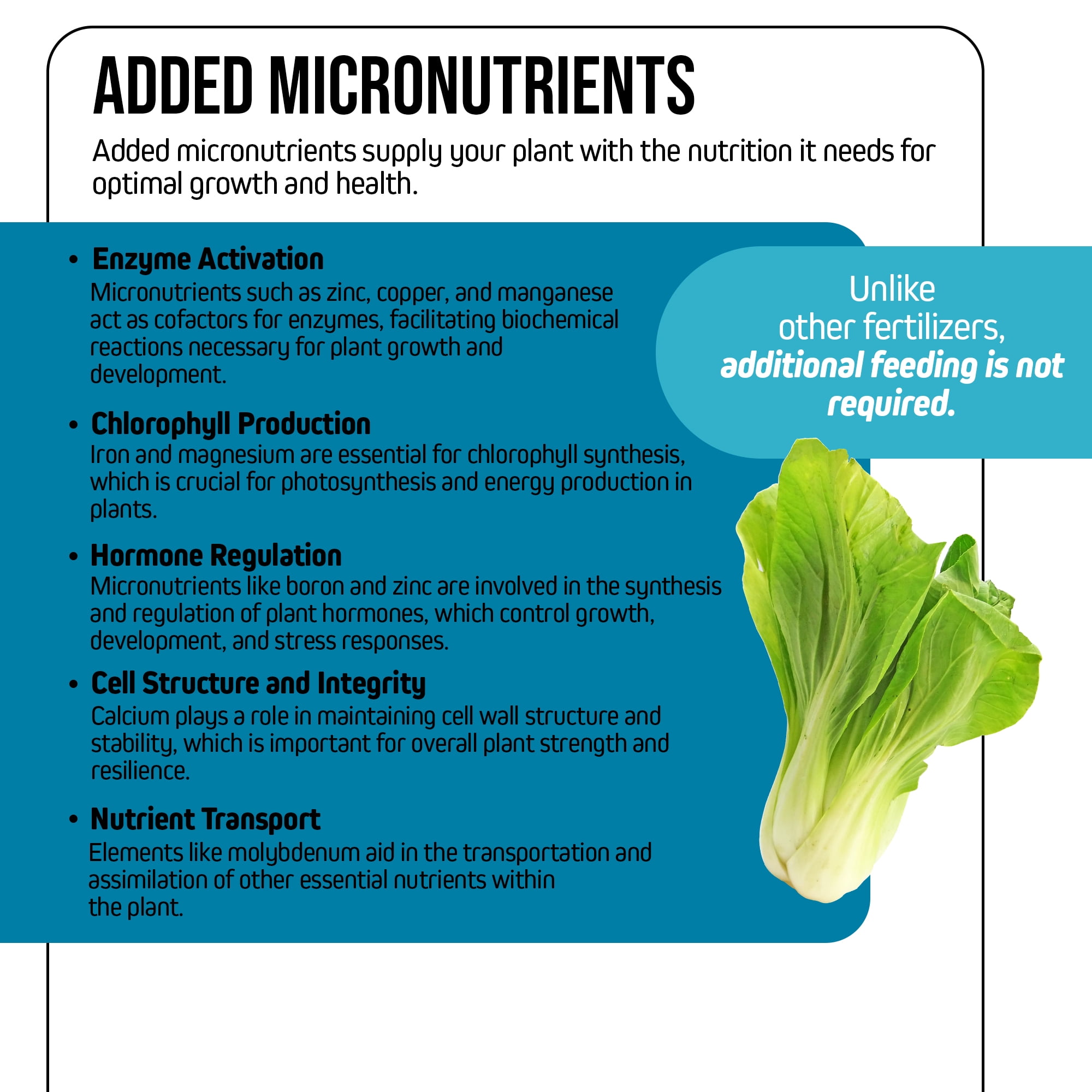 Jack's Nutrients 6-6-26 Low Phos Part A Water-Soluble Fertilizer for Growth of Leaves and Strong Roots in Continuous Liquid Feed Program, 2.2lbs