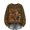 Green_07, variant on Sweatshirt for Women Oversized Crew Neck Vintage Full Moon Witch Graphic Long Sleeve Pullover Casual Fall Halloween Party Top Brown XL