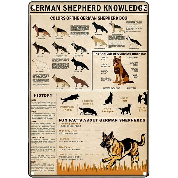 Vintage Tin Sign Funny German Shepherd Knowledge Dog Lover Wall Art Metal Decor 8x12 Inches