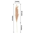 thumbnail image 3 of Efavormart 3 Stems | 44" Taupe Artificial Pampas Grass Plant Sprays, Faux Branches Vase Flower Arrangement, 3 of 11