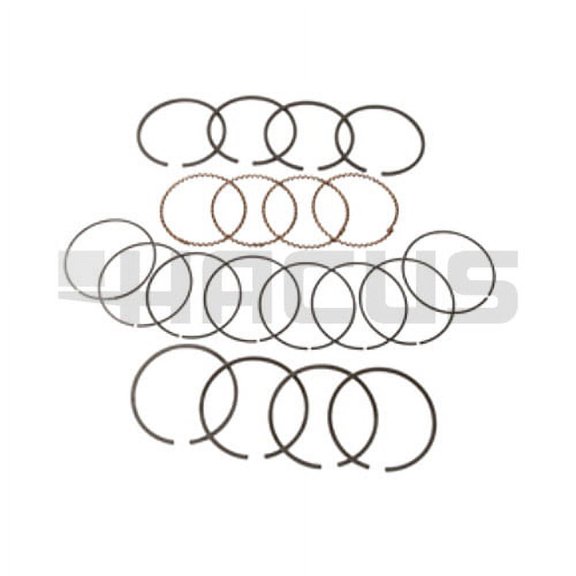 FPE - Forklift RING SET (1.00MM) 4942156 HACUS Aftermarket - New
