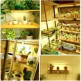 thumbnail image 3 of Para Plantas, Luz De Crecimiento De Espectro Completo Para Interiores Con Temporizador, Barra De Luz Led Para Invernadero, 3 of 6