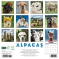 thumbnail image 2 of Alpacas 2026 Wall Calendar, 2 of 5