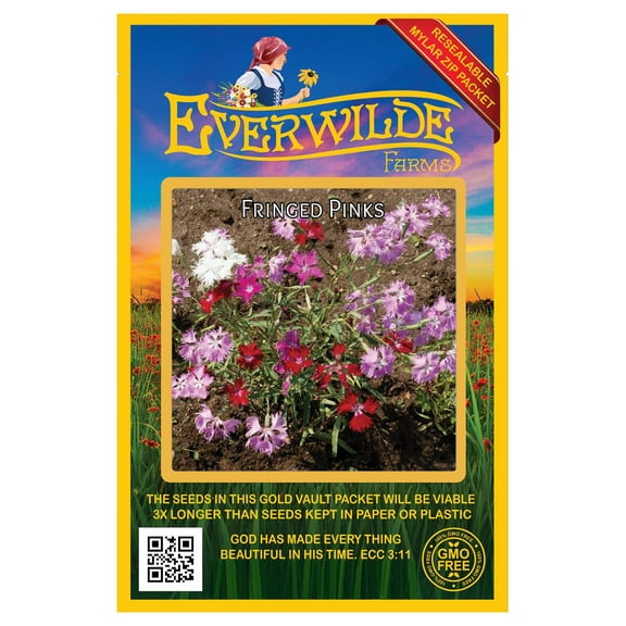 Everwilde Farms - 2000 Fringed Pinks Garden Flower Seeds - Gold Vault Jumbo Bulk Seed Packet