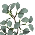 thumbnail image 4 of Vickerman FR191144 22 in. Gray Green Eucalyptus Branch Spray, 4 of 5