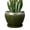 Dark Green, variant on Ceramic Modern Glaze Succulent Planter Pot with Drainage Hole and Saucer 6 Inch Round Flower Plant Pot for Indoor Outdoor Herb Snake Plants