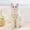 Green, variant on SNOW DEER Cat Dress, 2-Pack Princess Style Pet Dress for Cats, Breathable Plaid Lace Cat Clothes with Bow, Comfortable Cat Outfit for Small Dogs & Kittens (XS-XXL)