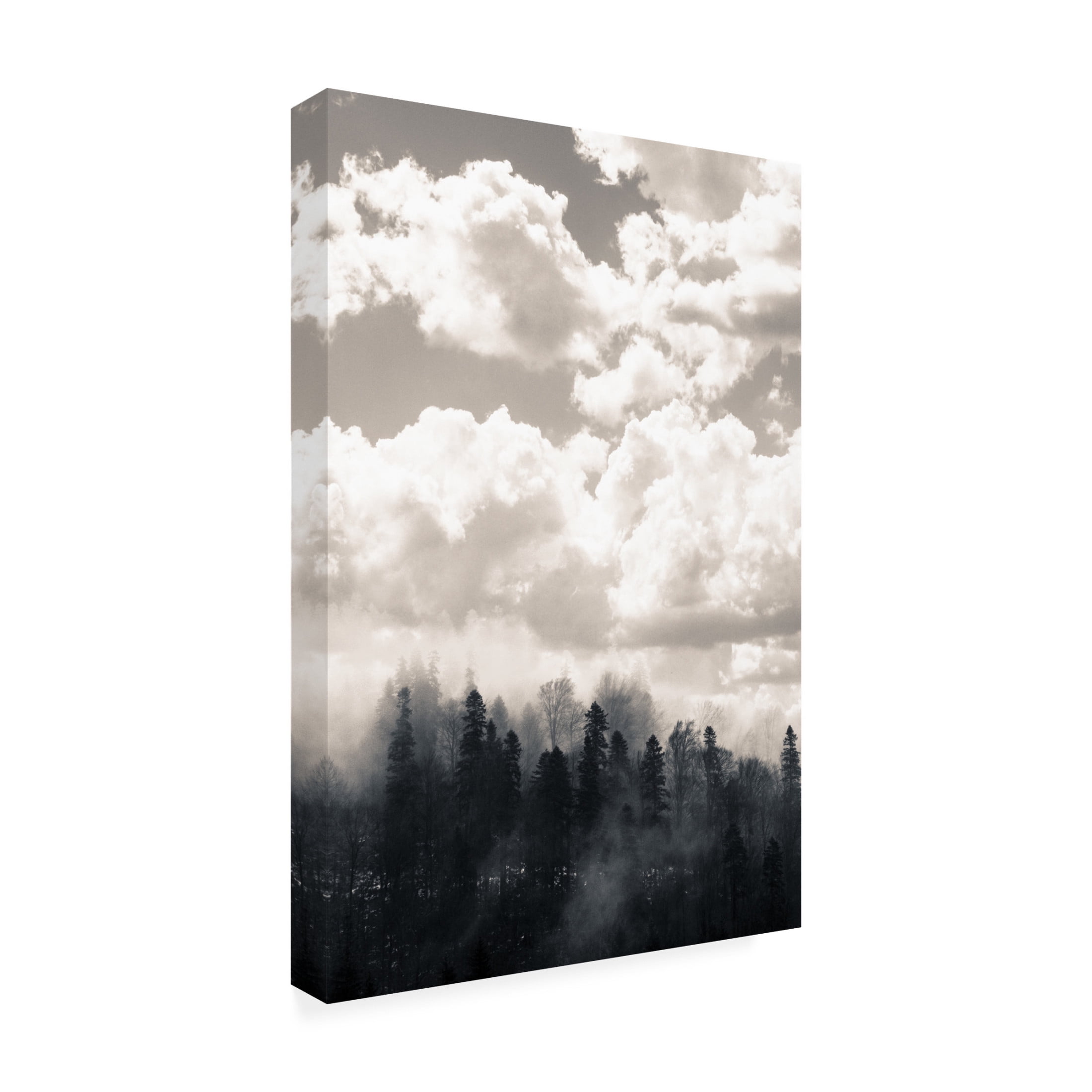Canvas Wall Art - Decent Exposures 'Fog 1' Wall Art for Living Room, Bedroom, or Office Décor by Trademark Fine Art - 16 x 24 Inches