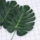 thumbnail image 5 of KAKOWELY 40Ud Hojas Artificiales Simulación Tropical Para Jarrones Y Arreglos En El Hogar, 5 of 6
