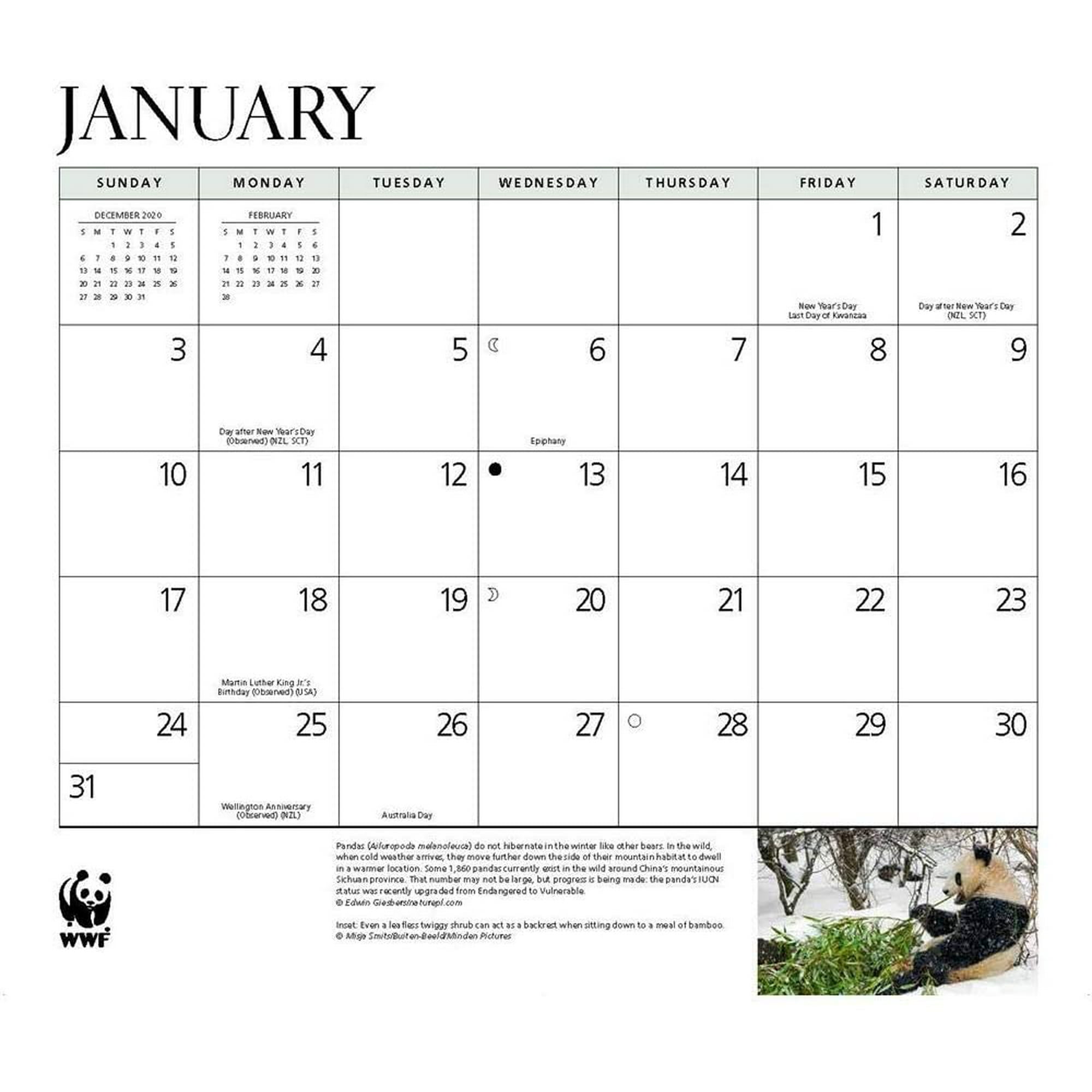 Giant Pandas Wwf 2021 Wall Calendar Walmart Canada wwf panda calendar 2021