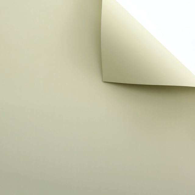 Nvzi matte solid color paper thickened opaque flower packaging paper, single color candy colored Eurasian paper, bouquet packaging paper (light green)