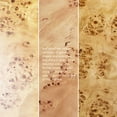 thumbnail image 3 of Jennifer Taylor Home Nebula 51" 5-6 Seater Round Burl Pillar Dining Table, Warm Natural Brown Burl Wood, 3 of 6