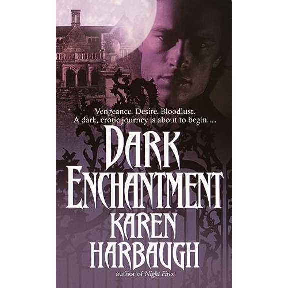 Pre-Owned Dark Enchantment : A Novel