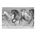 thumbnail image 2 of MKHERT Horse Herd Run In Desert Fast Doormat Rug Home Decor Floor Mat Bath Mat 23.6x15.7 inch, 2 of 3